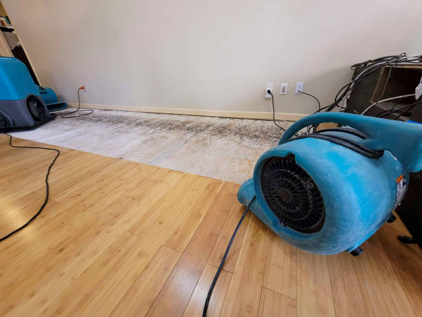 Professional Basement Flood Cleanup technician working in Mansfield, PA